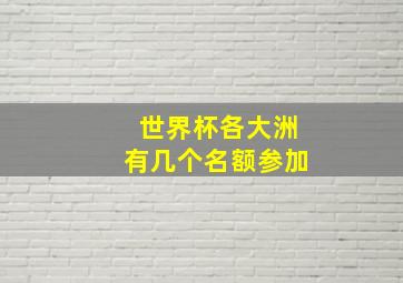 世界杯各大洲有几个名额参加