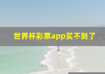 世界杯彩票app买不到了