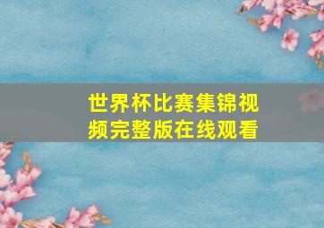 世界杯比赛集锦视频完整版在线观看