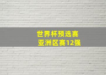 世界杯预选赛亚洲区赛12强