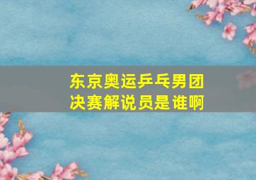 东京奥运乒乓男团决赛解说员是谁啊