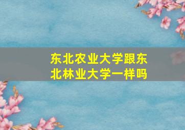 东北农业大学跟东北林业大学一样吗