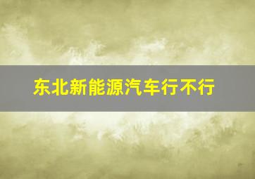 东北新能源汽车行不行