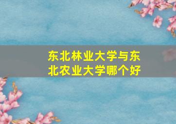 东北林业大学与东北农业大学哪个好