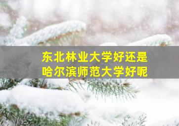 东北林业大学好还是哈尔滨师范大学好呢