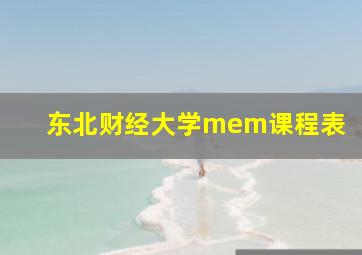 东北财经大学mem课程表