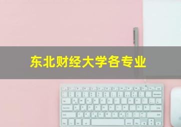 东北财经大学各专业