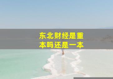 东北财经是重本吗还是一本