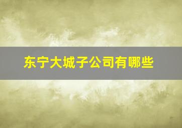 东宁大城子公司有哪些