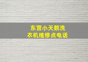 东营小天鹅洗衣机维修点电话