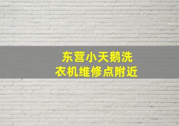 东营小天鹅洗衣机维修点附近