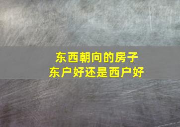 东西朝向的房子东户好还是西户好