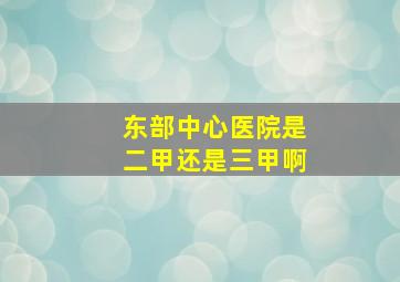 东部中心医院是二甲还是三甲啊