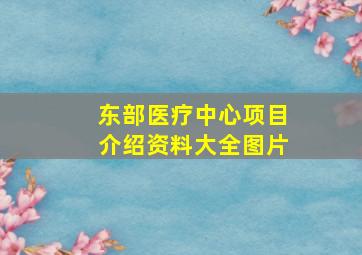 东部医疗中心项目介绍资料大全图片