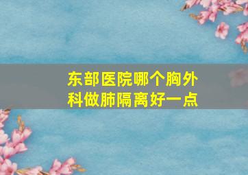 东部医院哪个胸外科做肺隔离好一点