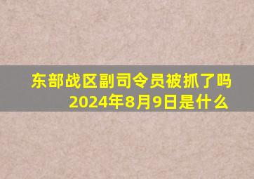 东部战区副司令员被抓了吗2024年8月9日是什么