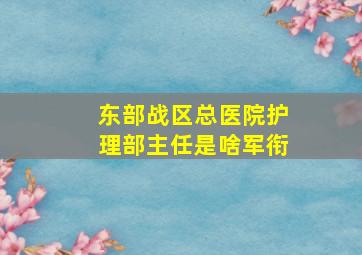 东部战区总医院护理部主任是啥军衔