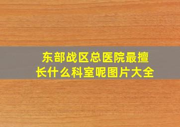 东部战区总医院最擅长什么科室呢图片大全