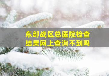 东部战区总医院检查结果网上查询不到吗