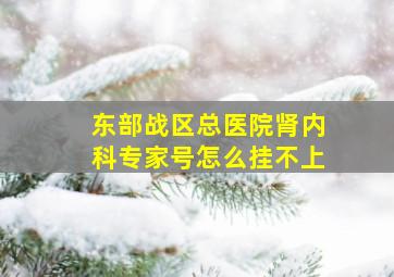 东部战区总医院肾内科专家号怎么挂不上