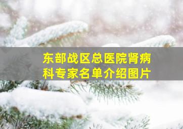 东部战区总医院肾病科专家名单介绍图片