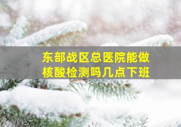 东部战区总医院能做核酸检测吗几点下班