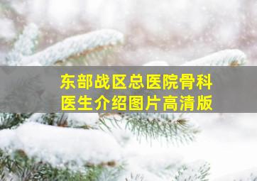 东部战区总医院骨科医生介绍图片高清版