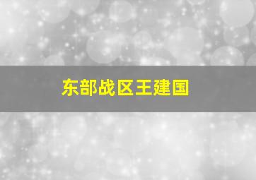 东部战区王建国