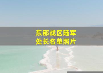 东部战区陆军处长名单照片