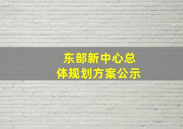 东部新中心总体规划方案公示