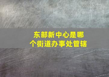 东部新中心是哪个街道办事处管辖