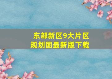 东部新区9大片区规划图最新版下载