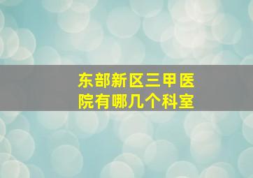 东部新区三甲医院有哪几个科室