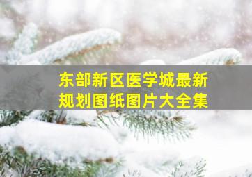 东部新区医学城最新规划图纸图片大全集