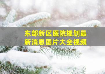 东部新区医院规划最新消息图片大全视频