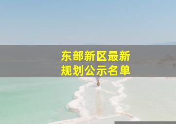 东部新区最新规划公示名单