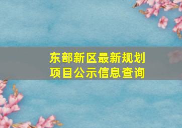 东部新区最新规划项目公示信息查询