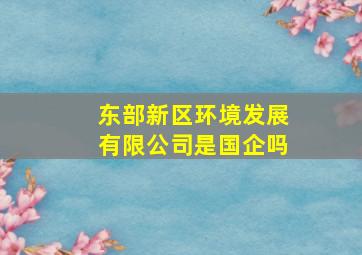 东部新区环境发展有限公司是国企吗