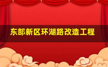 东部新区环湖路改造工程