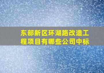 东部新区环湖路改造工程项目有哪些公司中标