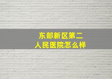 东部新区第二人民医院怎么样