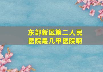 东部新区第二人民医院是几甲医院啊