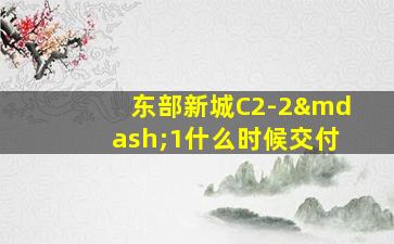 东部新城C2-2—1什么时候交付