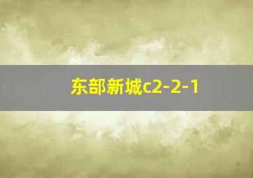 东部新城c2-2-1