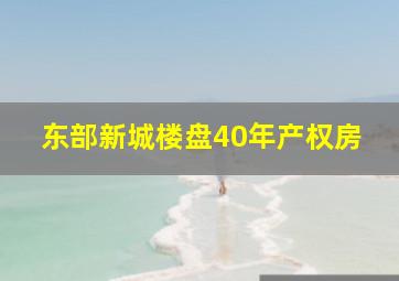 东部新城楼盘40年产权房