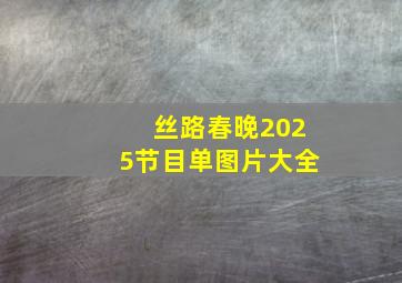 丝路春晚2025节目单图片大全