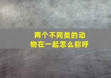 两个不同类的动物在一起怎么称呼