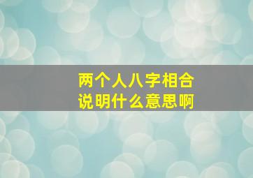 两个人八字相合说明什么意思啊