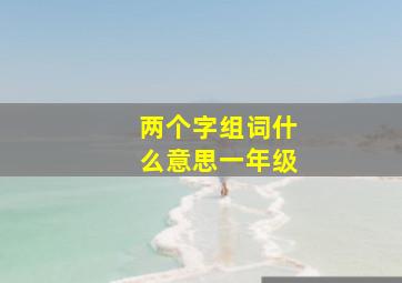 两个字组词什么意思一年级