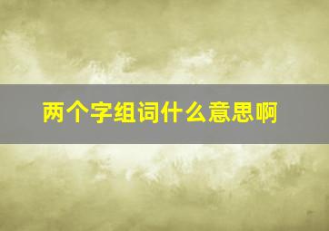 两个字组词什么意思啊